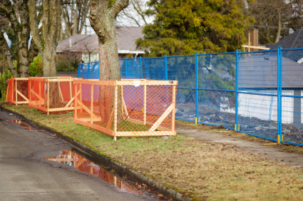 Construction Zones & Tree Preservation Planning